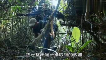 空蝉的森林在线观看,沉浸式在线观影之旅 第3张 空蝉的森林在线观看,沉浸式在线观影之旅 第3张