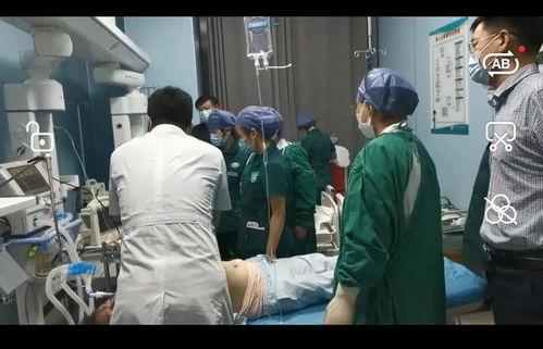 生死急救在线观看,在线见证生命奇迹 第3张 生死急救在线观看,在线见证生命奇迹 第3张